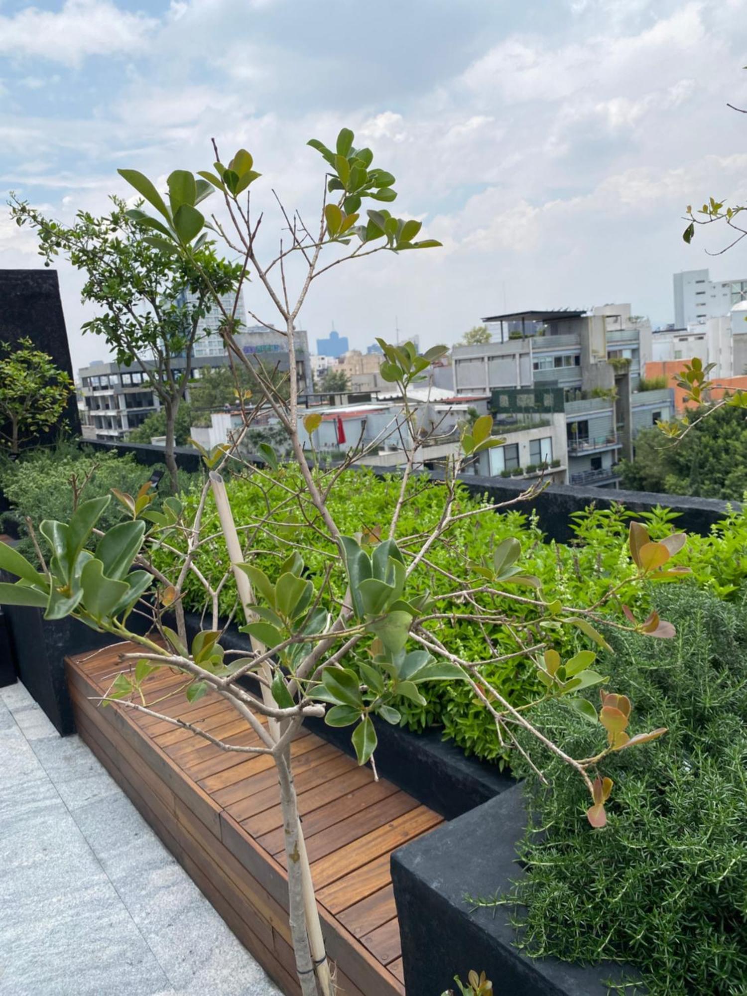 Mexico City Loft In The Heart Of Roma Norte Steps Away From Cibeles Apartment Exterior photo